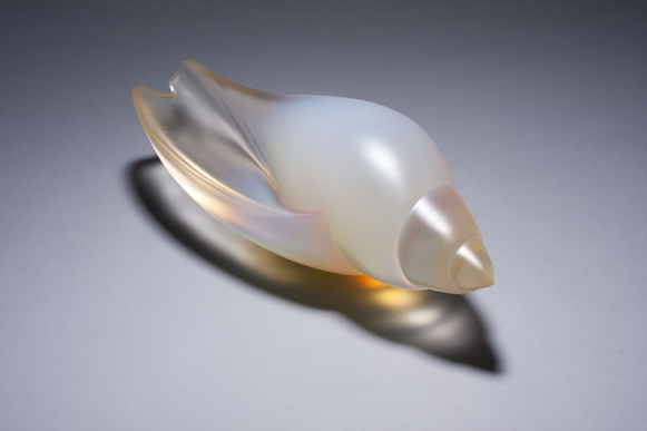 Shell B